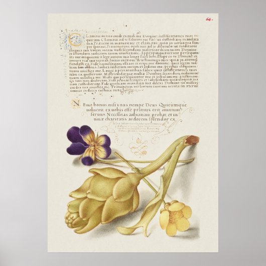 Poster Belle illustration botanique Vintage (Devant)
