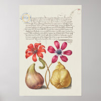 Belle illustration botanique Vintage