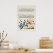 Poster Belle illustration botanique Vintage (Cuisine)