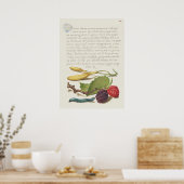 Poster Belle illustration botanique Vintage (Cuisine)