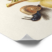 Poster Belle illustration botanique Vintage (Coin)