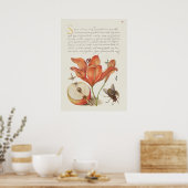Poster Belle illustration botanique Vintage (Cuisine)