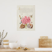 Poster Belle illustration botanique Vintage (Cuisine)