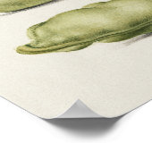 Poster Belle illustration botanique Vintage (Coin)