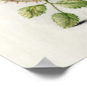 Poster Belle illustration botanique Vintage (Coin)