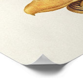 Poster Belle illustration botanique Vintage (Coin)