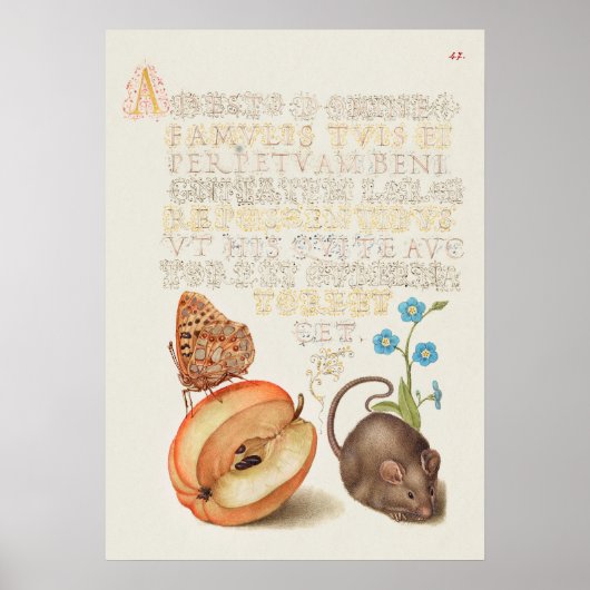 Poster Belle illustration botanique Vintage (Devant)
