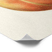 Poster Belle illustration botanique Vintage (Coin)