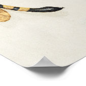 Poster Belle illustration botanique Vintage (Coin)