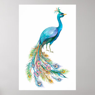 Poster Belle illustration de paon bleu à l'aquarelle