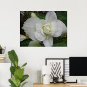 Poster Belle image blanche (Bureau à domicile)