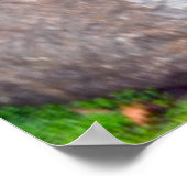 Poster Belle image du jardin japonais (Coin)