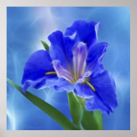 Belle iris fractale et son sens