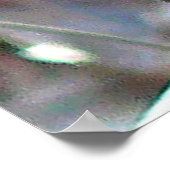 Poster Belle Jay Bleu (Coin)