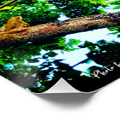 Poster Belle journée — Arbre - Pays - Vie (Coin)