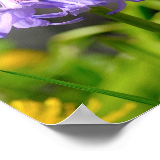 Poster Belle Ladybug sur Bluebells 8x12" Imprimer (Coin)