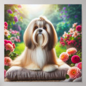 Poster belle Lhassa Apso (Devant)
