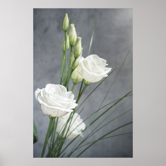 Poster Belle Lisianthus Fleurs Blanches (Devant)
