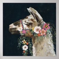 Belle Llama