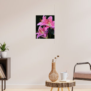 Poster Belle Lys Rose Fleurit