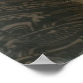 Poster Belle Maine Coon Cat Preening Photo (Coin)