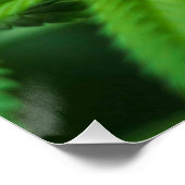 Poster Belle mauvaise herbe (Coin)