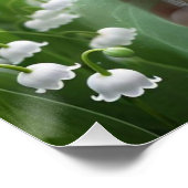 Poster Belle May Fairy dans Lilies de la Vallée (Coin)