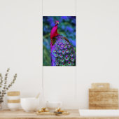 Poster Belle Météo Rouge Violet Couleur Peacock Oiseau (Cuisine)