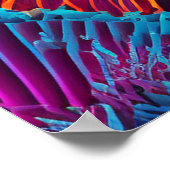 Poster Belle nymphe de la mer de sirène (Coin)