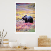 Poster Belle Ours dans les fleurs de printemps Imprimer (Cuisine)