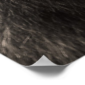 Poster Belle Ours Grizzly Brown (Coin)