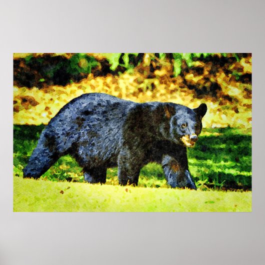 Poster Belle Ours Noir Faune Aquarelle Peintures (Devant)