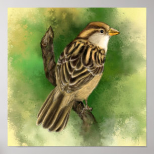 Poster Belle peinture d'affiche Little Sparrow