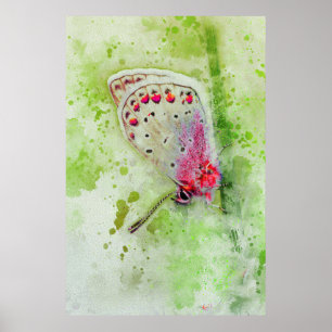 Poster belle peinture de papillon blanc sur une tige 