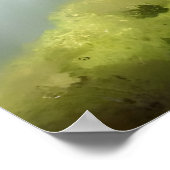 Poster Belle peinture Fluffy Cat (Coin)