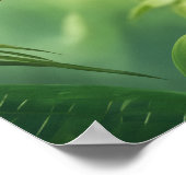 Poster Belle Perruche dans la Jungle (Coin)