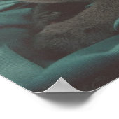 Poster Belle photo de chat gris (Coin)