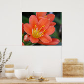 Poster Belle photo de fleurs orange (Cuisine)