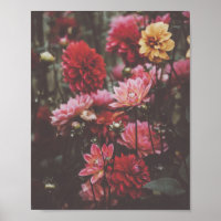 Belle photo de Fleurs roses à l'automne