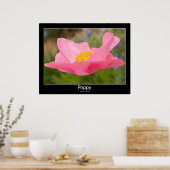 Poster Belle photo de gros plan de pavot rose (Cuisine)