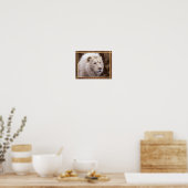 Poster Belle Photo de Lion Blanc (Cuisine)