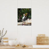 Poster Belle photo d'oiseaux tropicaux (Cuisine)