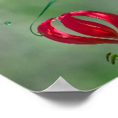 Poster Belle Photo Lily De Flamme Rouge Et Jaune (Coin)