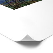 Poster Belle plage et l'océan Photographie par srf (Coin)