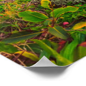 Poster Belle plage Hawaii | Sun Sand & Green Paradise (Coin)