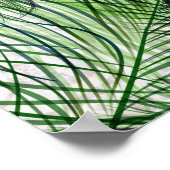 Poster Belle plumes de paon vert (Coin)