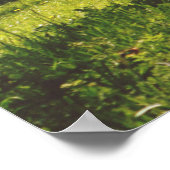 Poster Belle prairie (Coin)