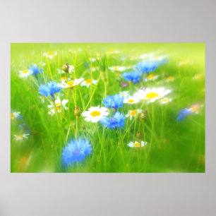 Poster Belle prairie estivale