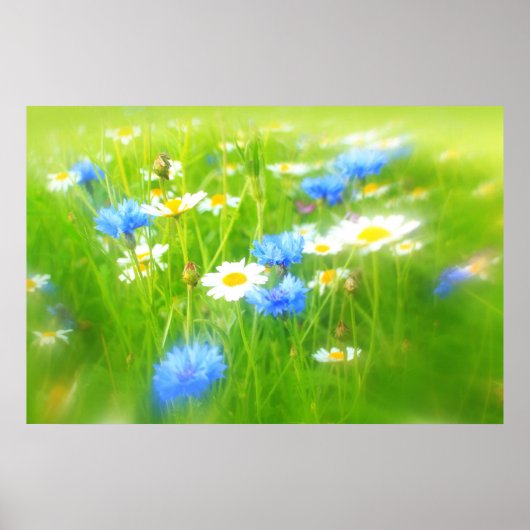 Poster Belle prairie estivale (Devant)