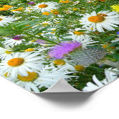 Poster Belle prairie Fleur sauvage et papillon (Coin)